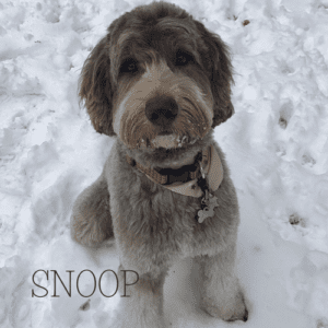 SNOOP3